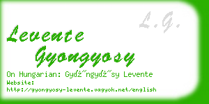 levente gyongyosy business card